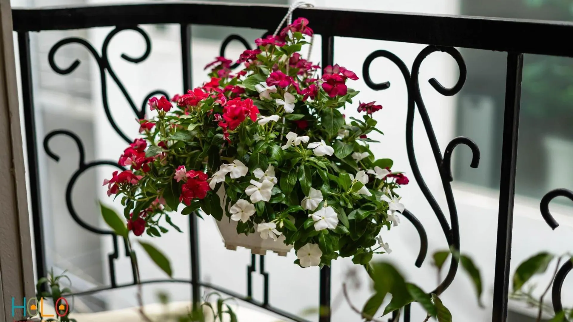 Holo Le Thanh Ton Saigon Serviced Homestay Ho Chi Minh City Vietnam